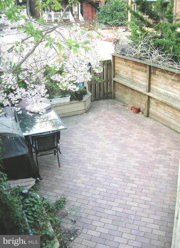 1841 Kalorama Road Northwest, Unit 2 Washington, DC 20009 - Photo 9 of 16 Patio