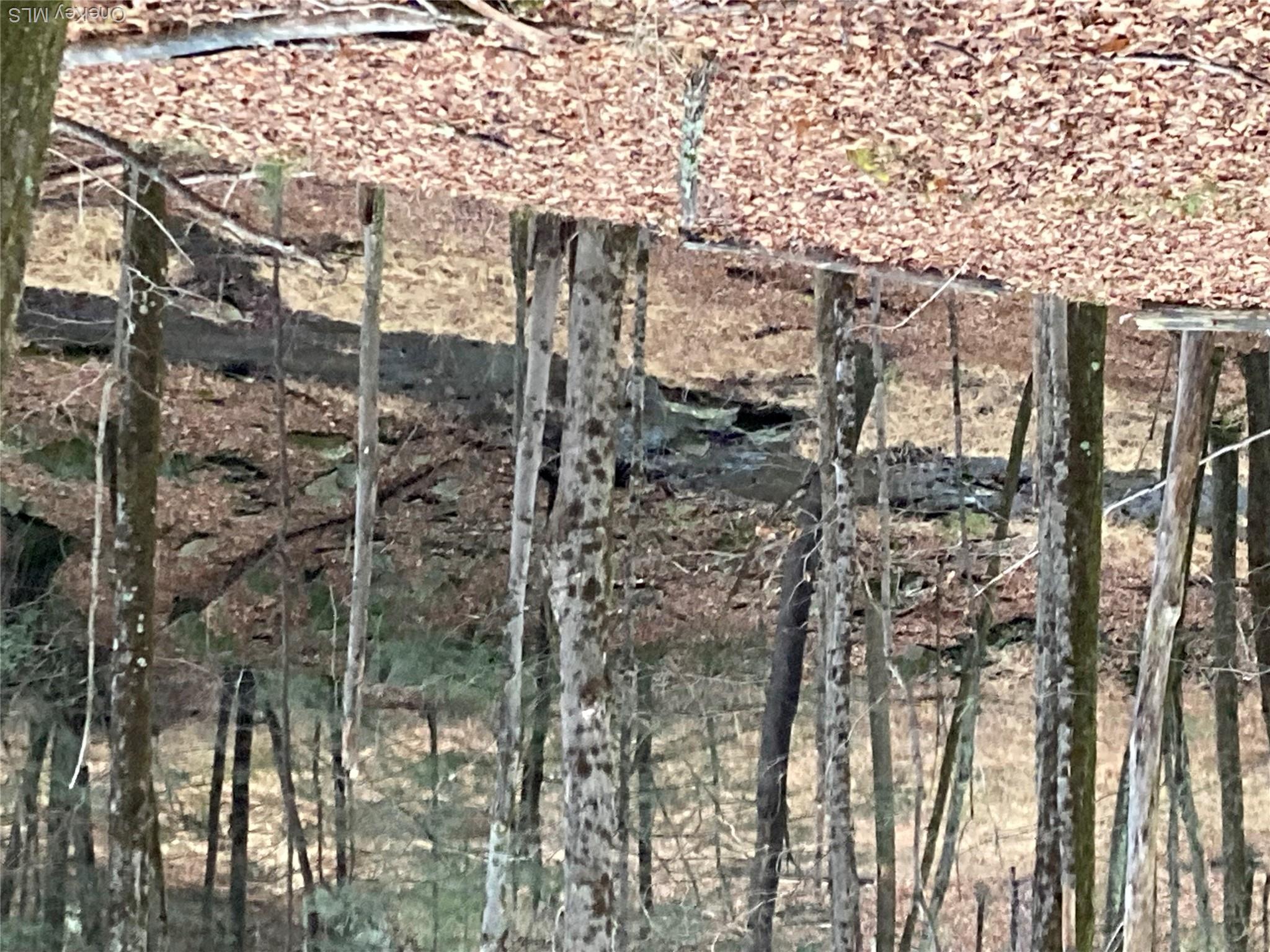 Red Hill Road Wurtsboro, NY 12790 - Photo 11 of 26 a view of a backyard of the house