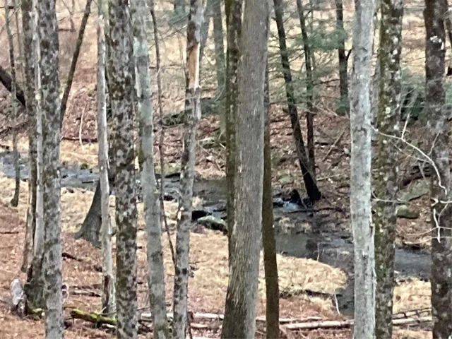 a view of a backyard of the house