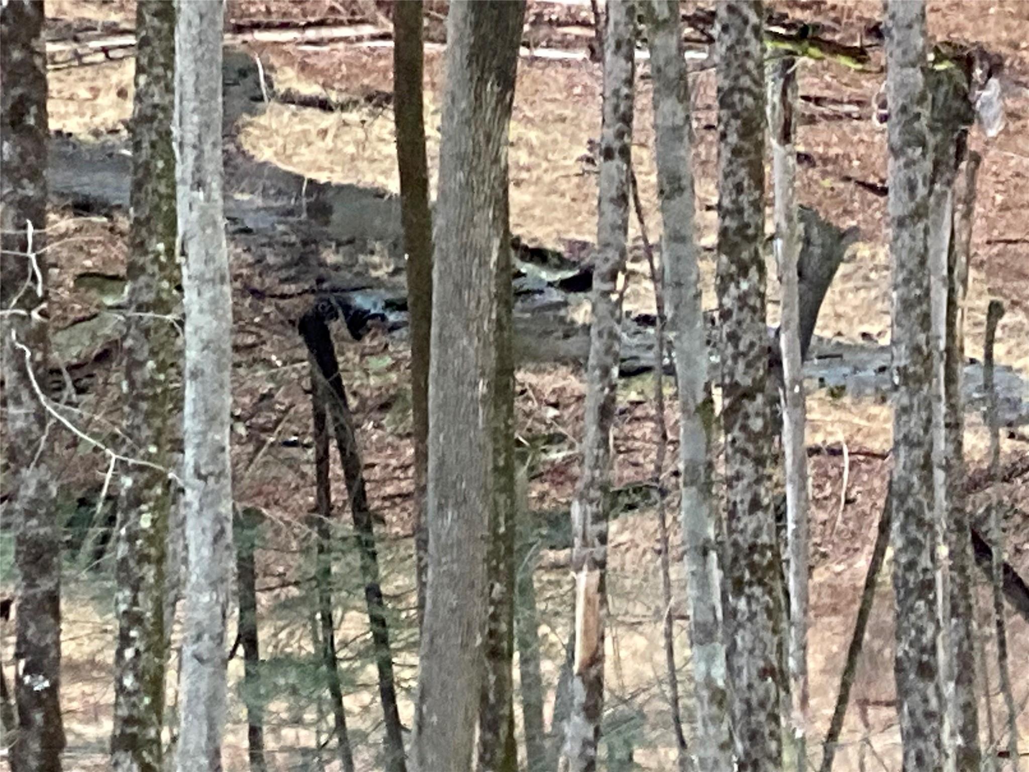 Red Hill Road Wurtsboro, NY 12790 - Photo 11 of 19