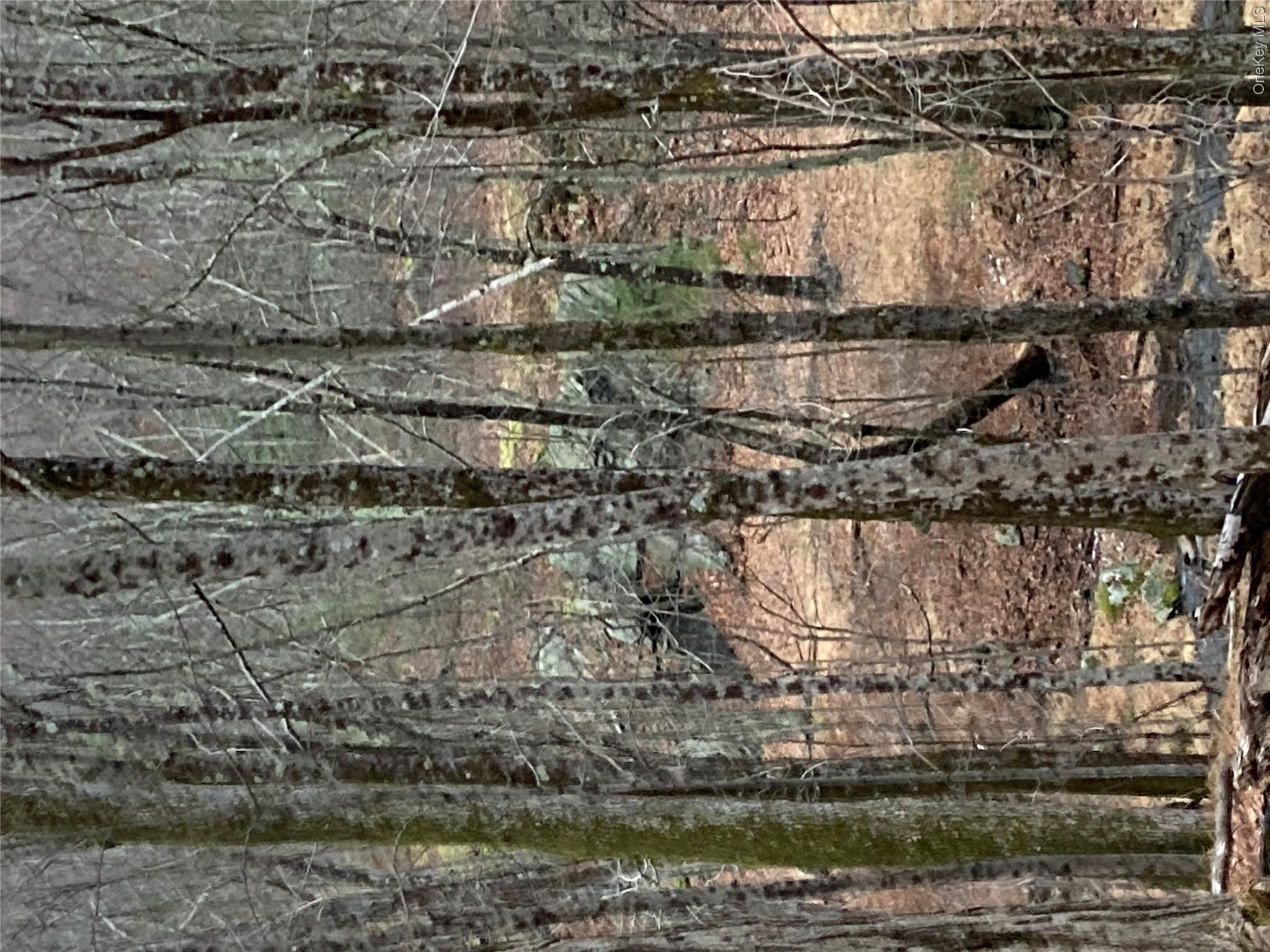 Red Hill Road Wurtsboro, NY 12790 - Photo 12 of 26