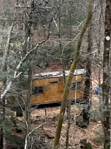 a view of a yard with a trees