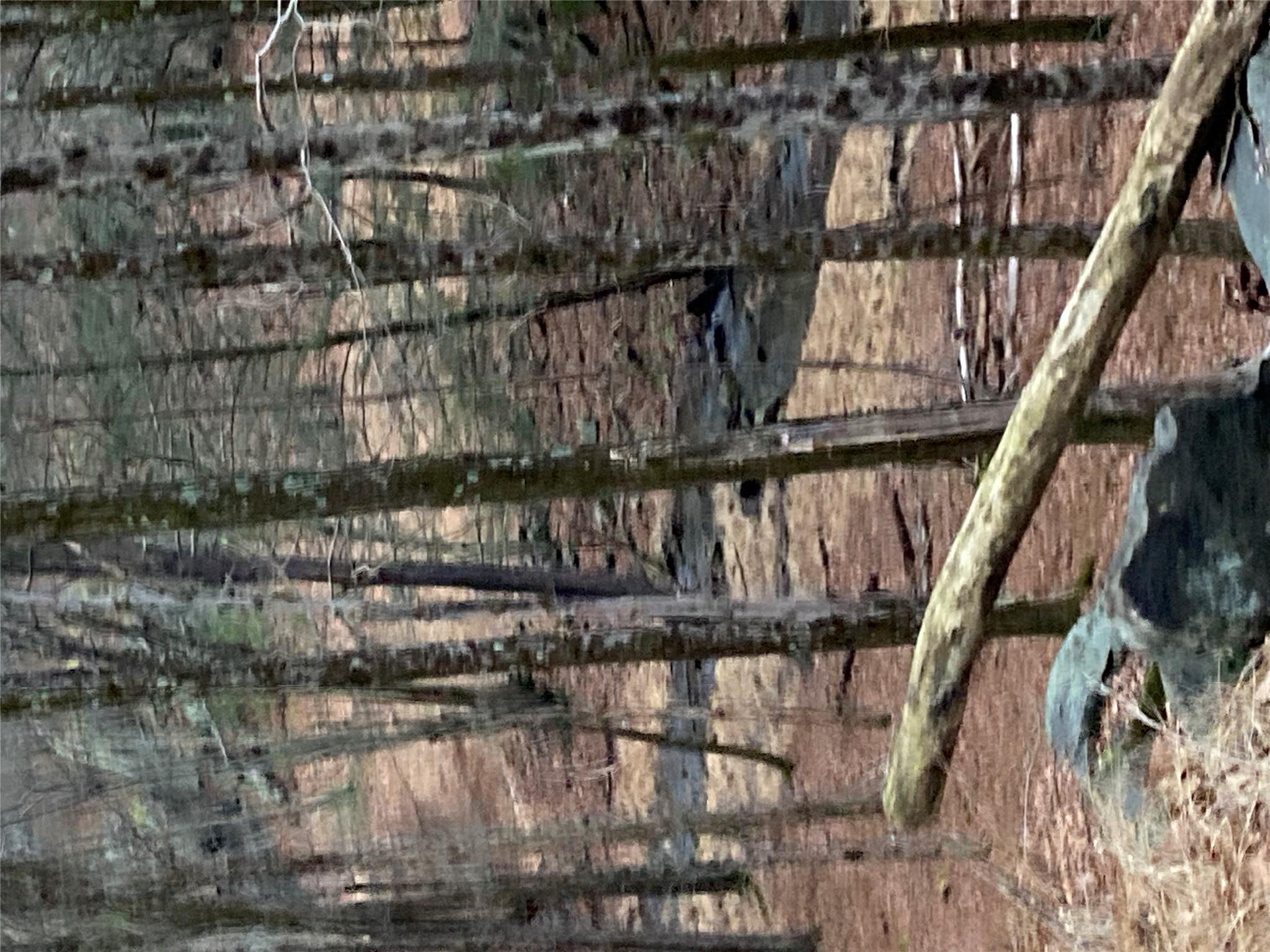 Red Hill Road Wurtsboro, NY 12790 - Photo 13 of 19 a bathroom with a shower
