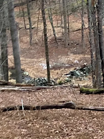 $55,000 | Red Hill Road, Wurtsboro, NY 12790