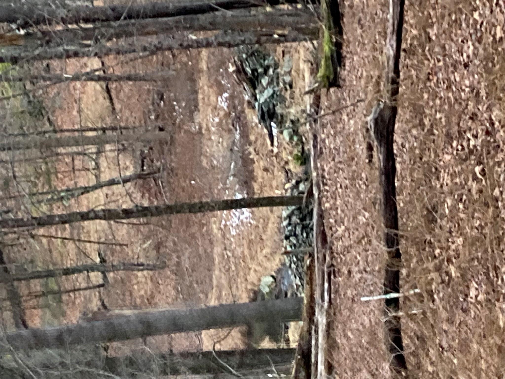Red Hill Road Wurtsboro, NY 12790 - Photo 16 of 19 a view of a yard with a trees