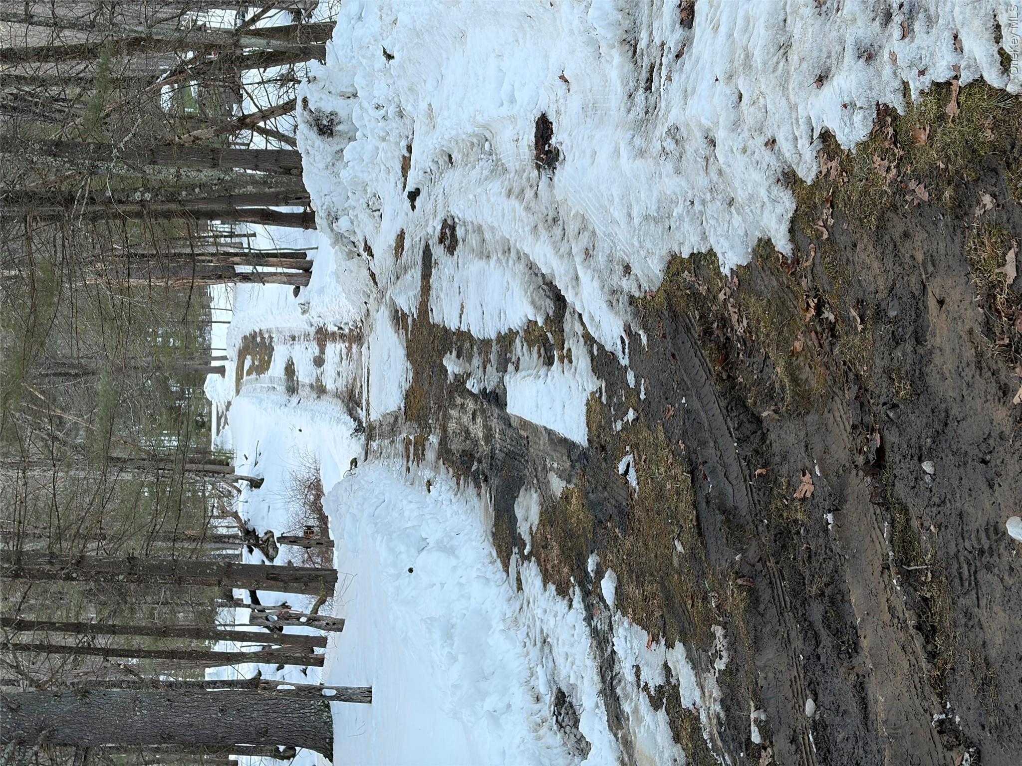 Red Hill Road Wurtsboro, NY 12790 - Photo 17 of 26 a view of road and trees