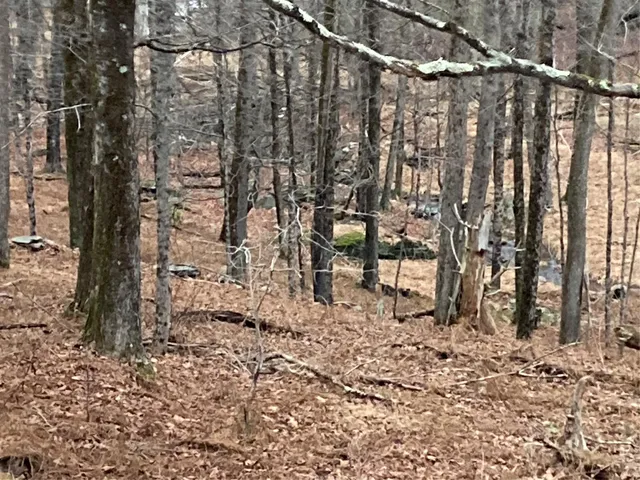 $55,000 | Red Hill Road, Wurtsboro, NY 12790