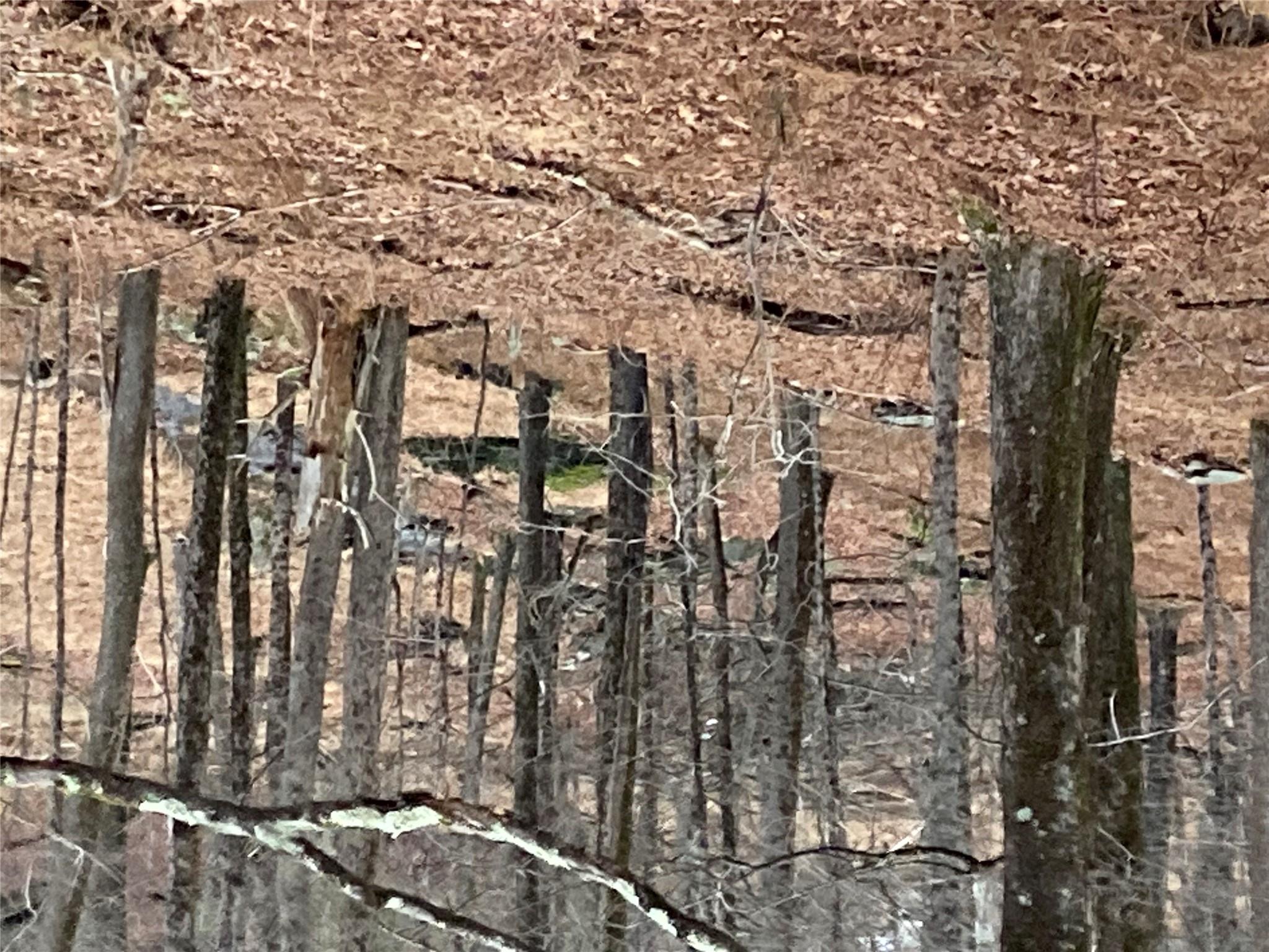 Red Hill Road Wurtsboro, NY 12790 - Photo 17 of 19 a backyard of a house with lots of green space