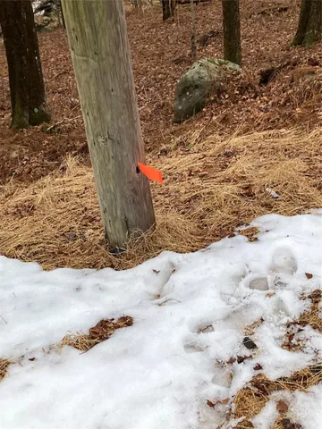 $55,000 | Red Hill Road, Wurtsboro, NY 12790