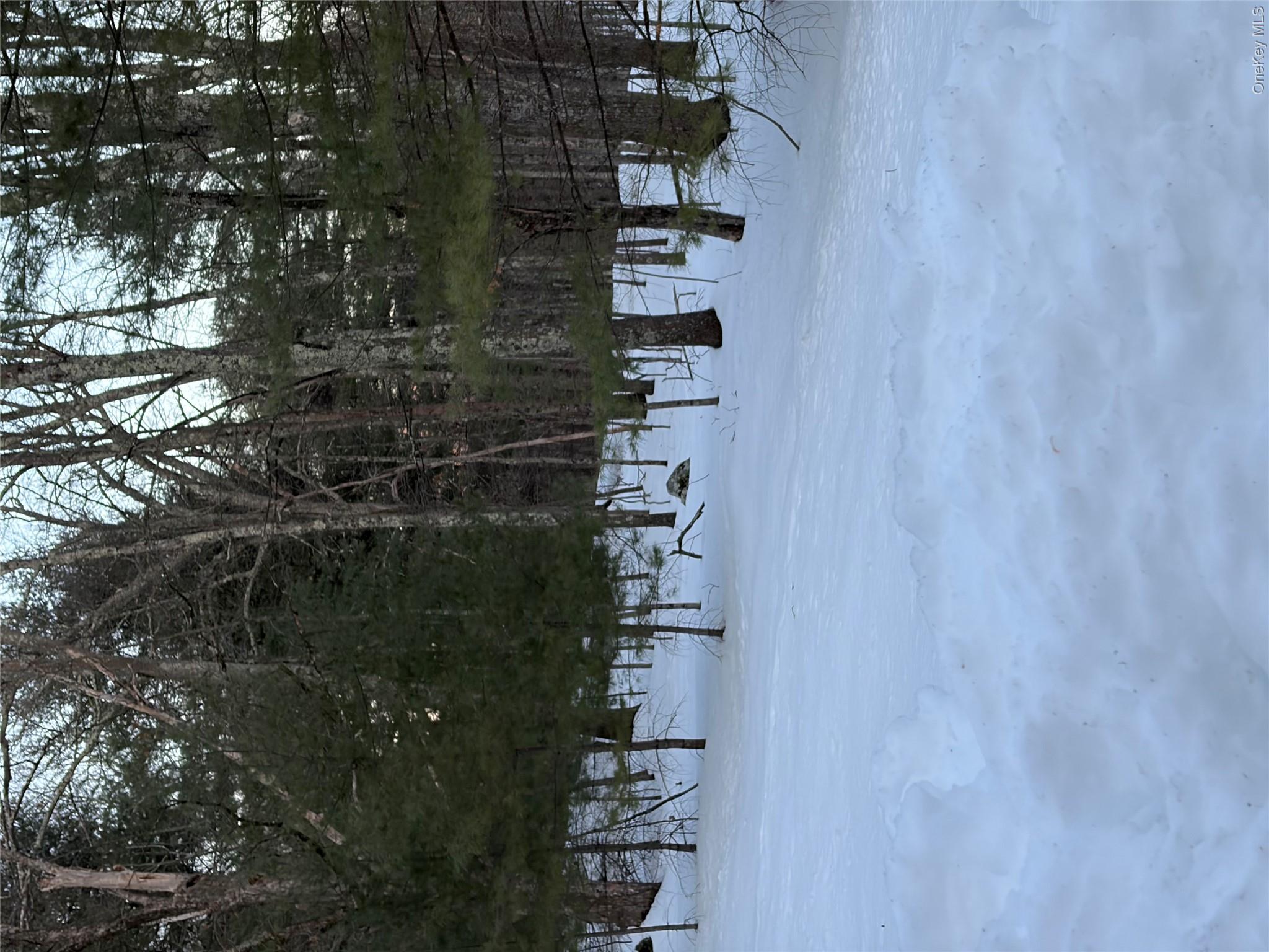 Red Hill Road Wurtsboro, NY 12790 - Photo 25 of 26 a view of outdoor space with trees