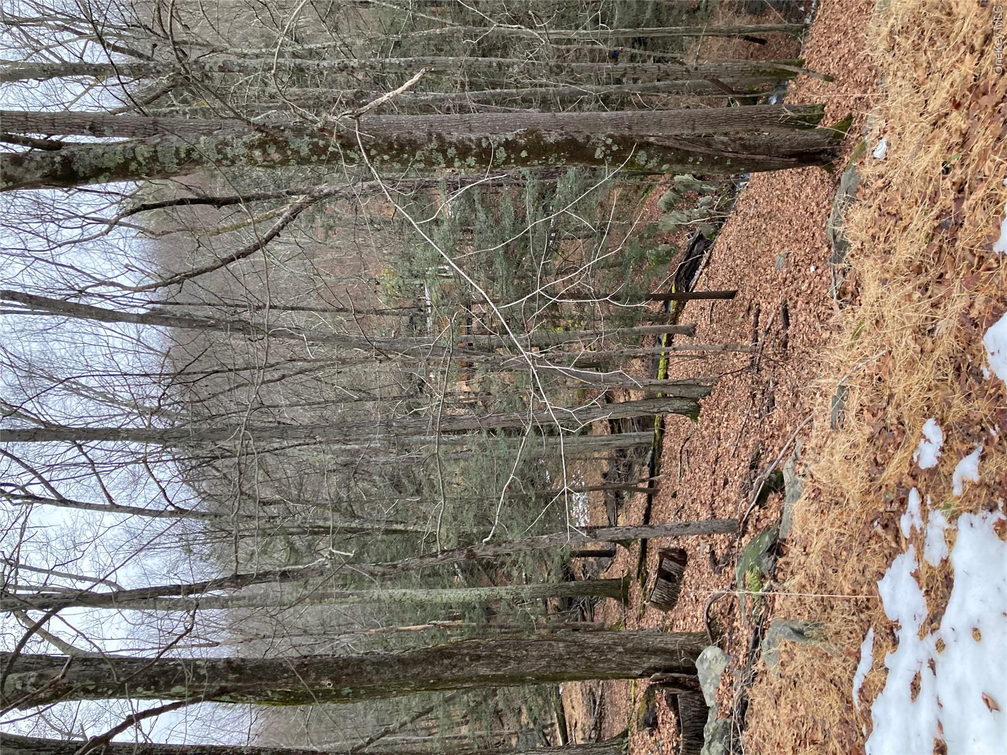 Red Hill Road Wurtsboro, NY 12790 - Photo 5 of 26 a backyard of a house with lots of green space
