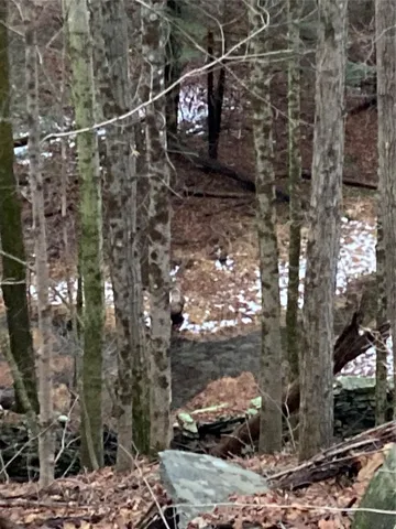 a view of a pathway of a house