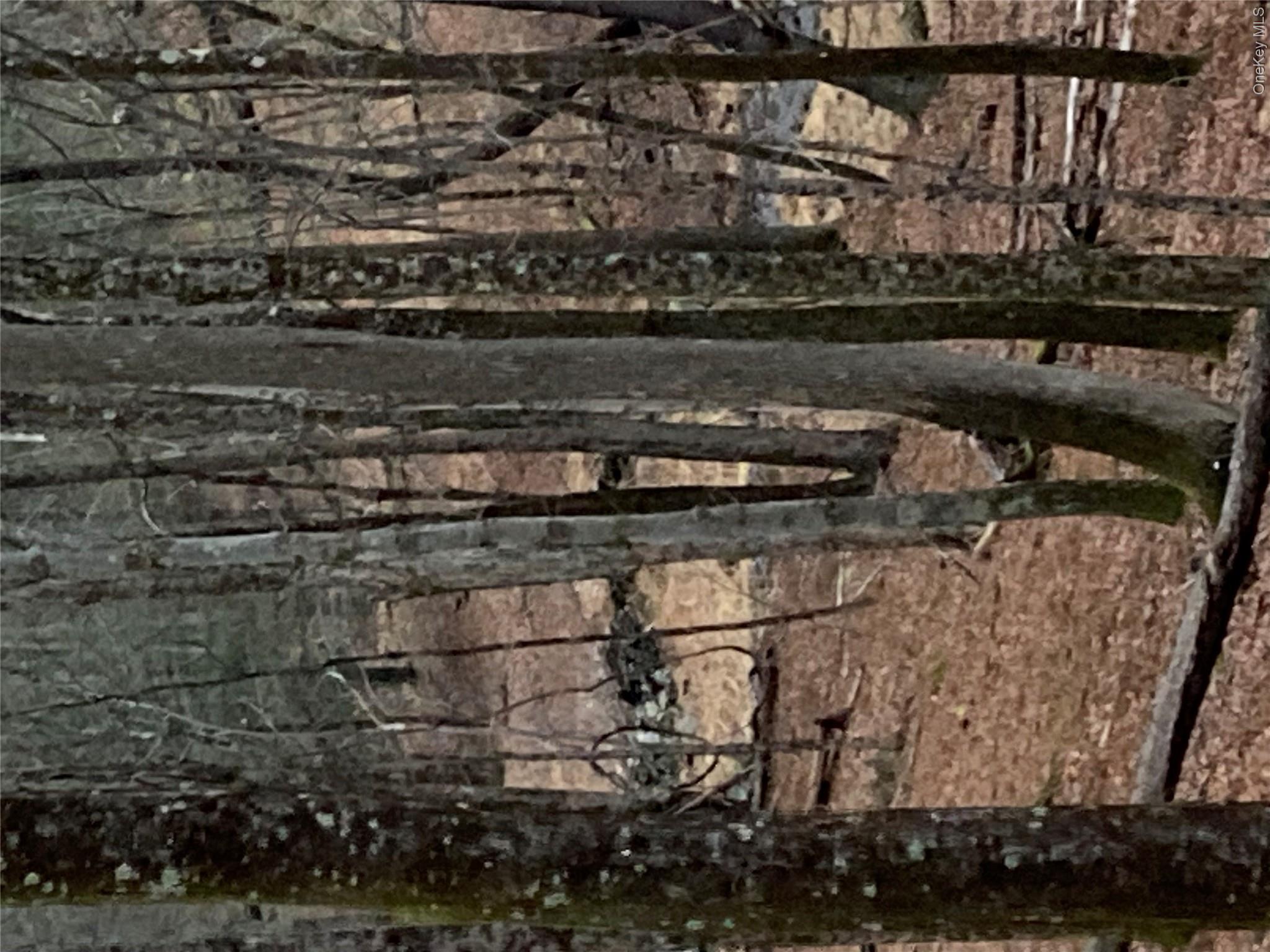 Red Hill Road Wurtsboro, NY 12790 - Photo 7 of 26 a picture of a building
