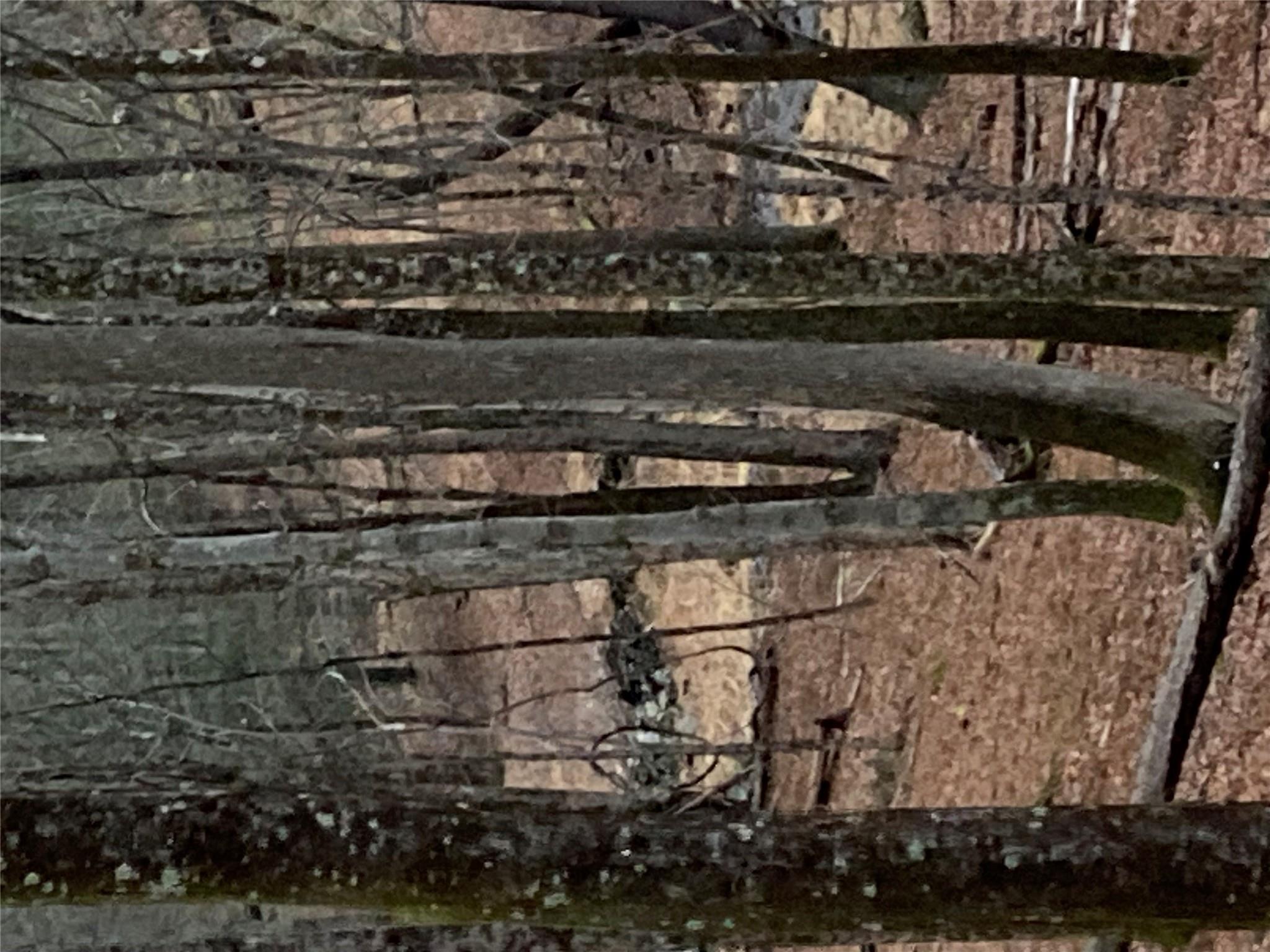 Red Hill Road Wurtsboro, NY 12790 - Photo 8 of 19