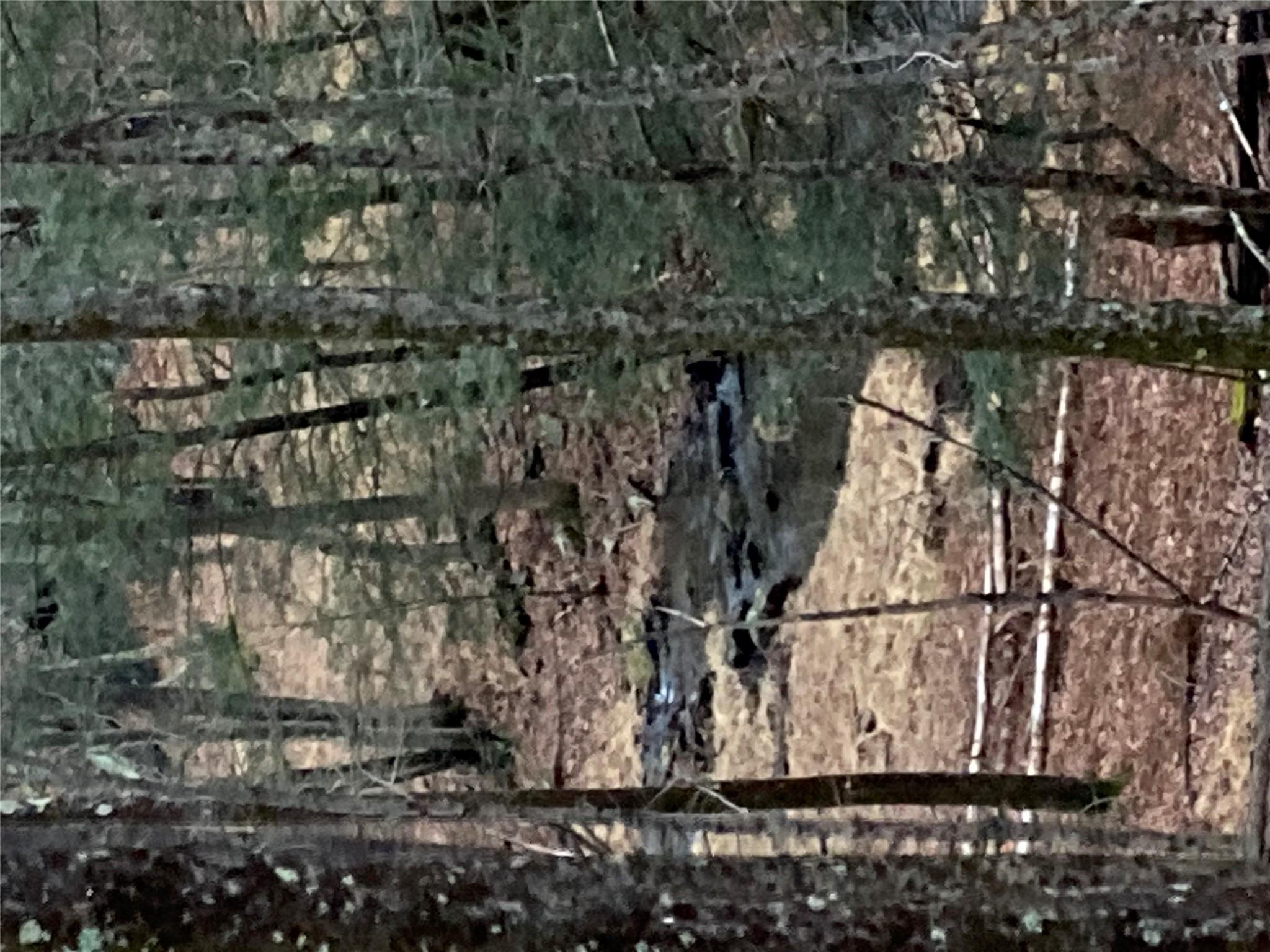 Red Hill Road Wurtsboro, NY 12790 - Photo 10 of 19 a picture of a street