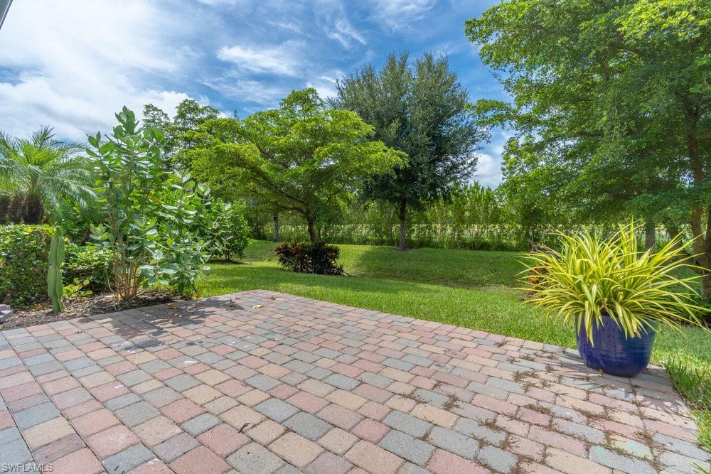 16374 Barclay Court Naples, FL 34110 - Photo 25 of 32 a view of a yard with plants and trees
