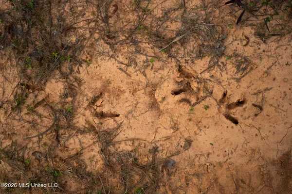 $164,000 | Dees Road, Meridian, MS 39301