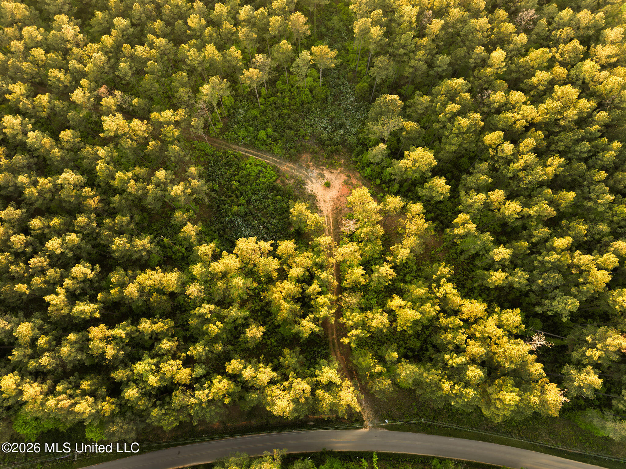 Dees Road Meridian, MS 39301 - Photo 7 of 13 DJI_20260410175132_0004_D