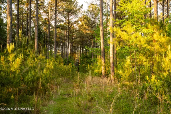 $164,000 | Dees Road, Meridian, MS 39301