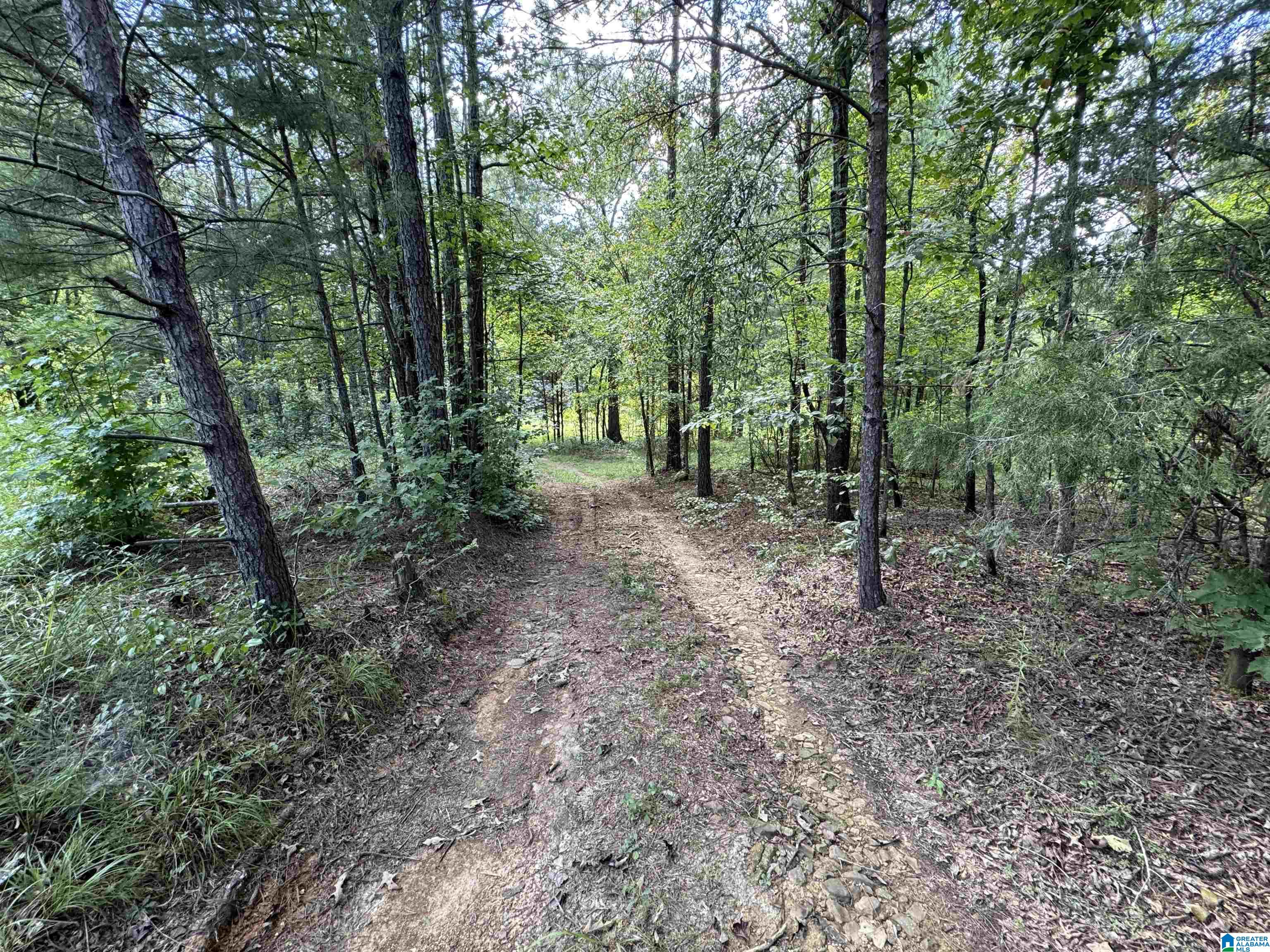 20394 County Road 55 Sterrett, AL 35147 - Photo 29 of 43