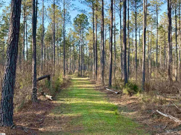 $510,000 | 0 Long Cane Road, Abbeville, SC 29620