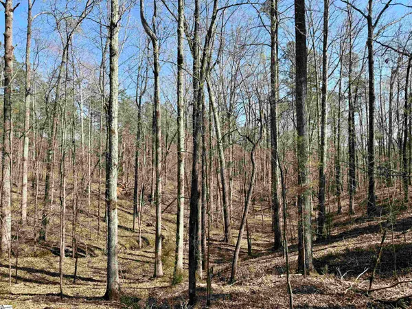 $510,000 | 0 Long Cane Road, Abbeville, SC 29620