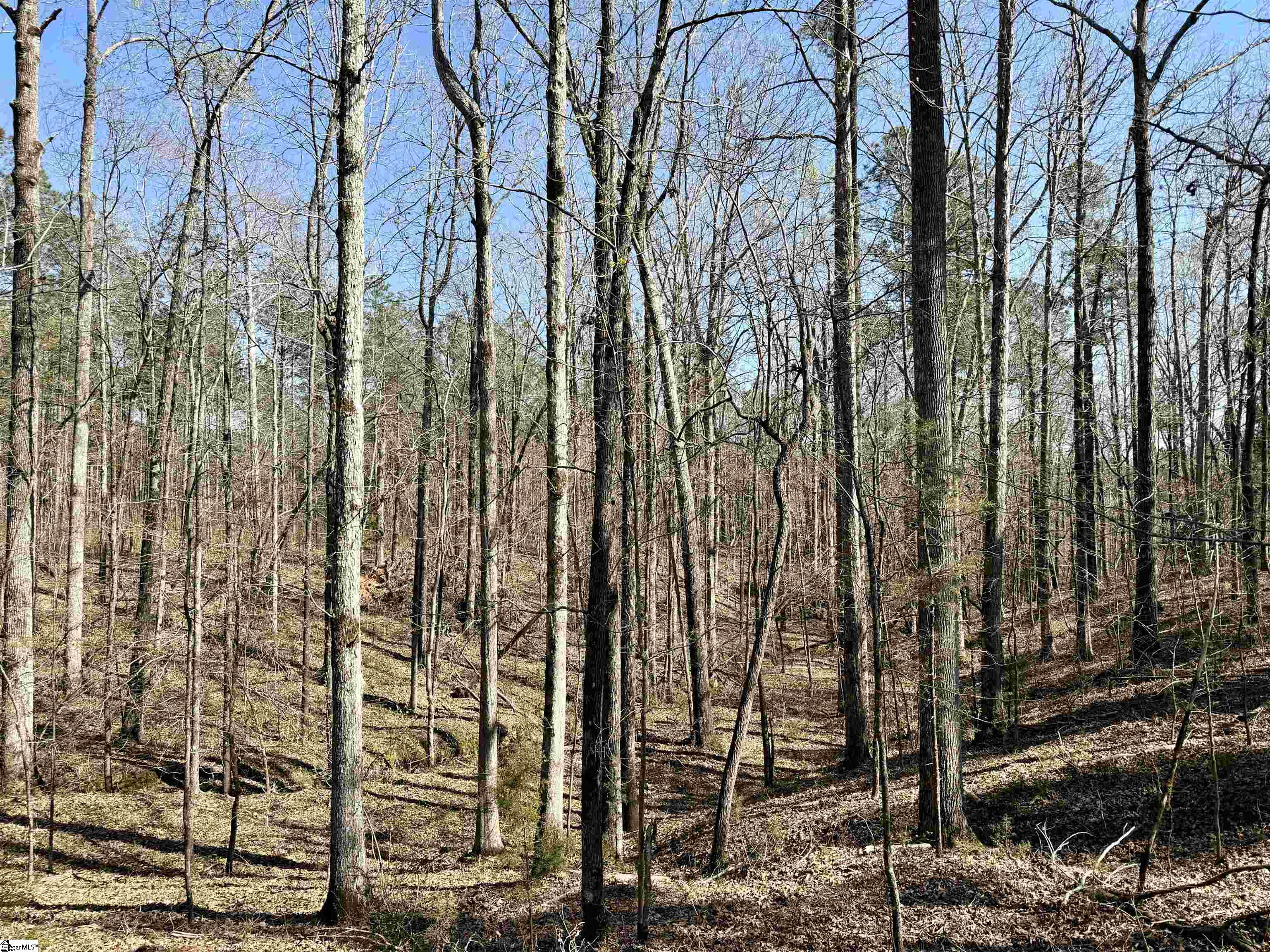 0 Long Cane Road Abbeville, SC 29620 - Photo 12 of 32