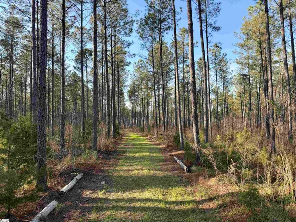 $510,000 | 0 Long Cane Road, Abbeville, SC 29620