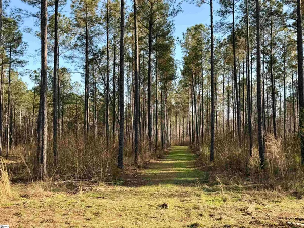 $510,000 | 0 Long Cane Road, Abbeville, SC 29620