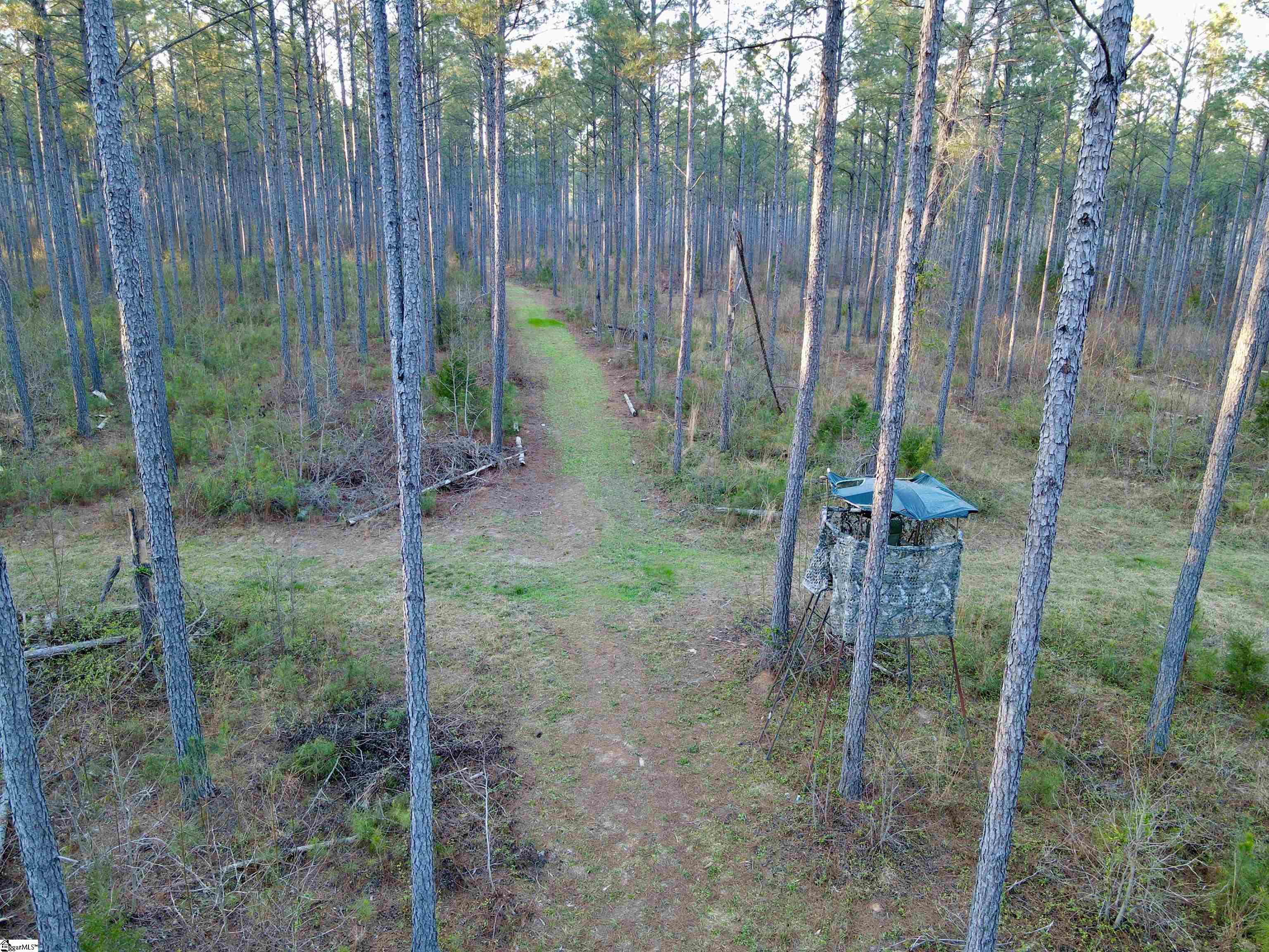 0 Long Cane Road Abbeville, SC 29620 - Photo 15 of 32