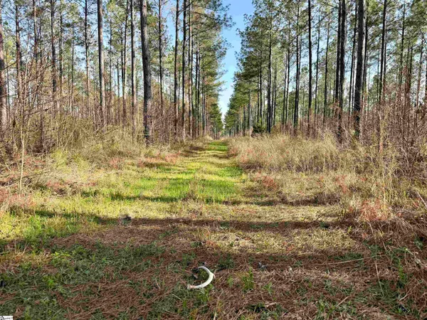 $510,000 | 0 Long Cane Road, Abbeville, SC 29620