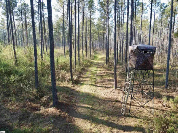 $510,000 | 0 Long Cane Road, Abbeville, SC 29620