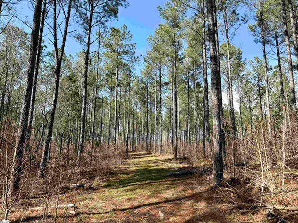 $510,000 | 0 Long Cane Road, Abbeville, SC 29620