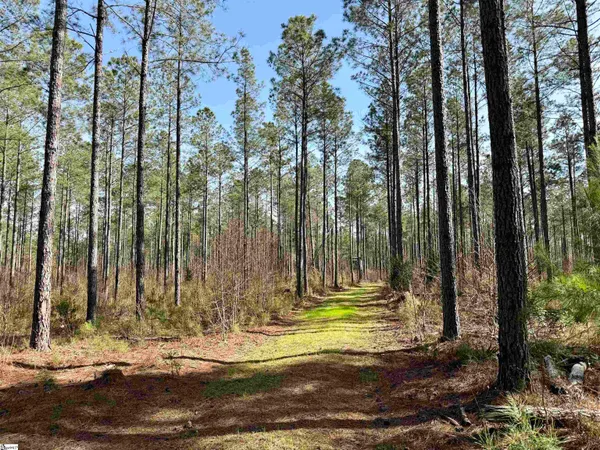 $510,000 | 0 Long Cane Road, Abbeville, SC 29620