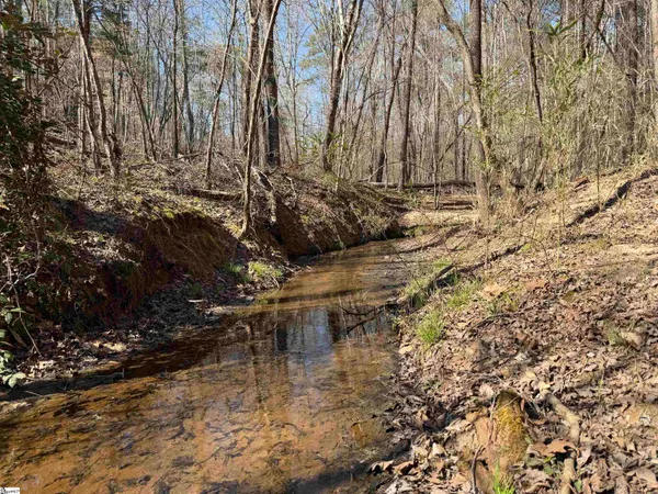 $510,000 | 0 Long Cane Road, Abbeville, SC 29620