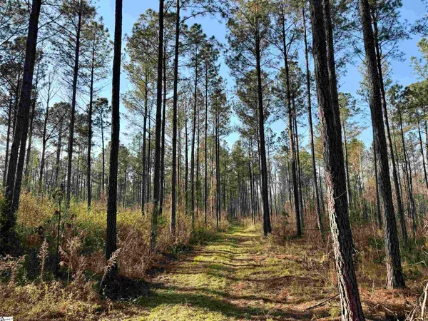 $510,000 | 0 Long Cane Road, Abbeville, SC 29620