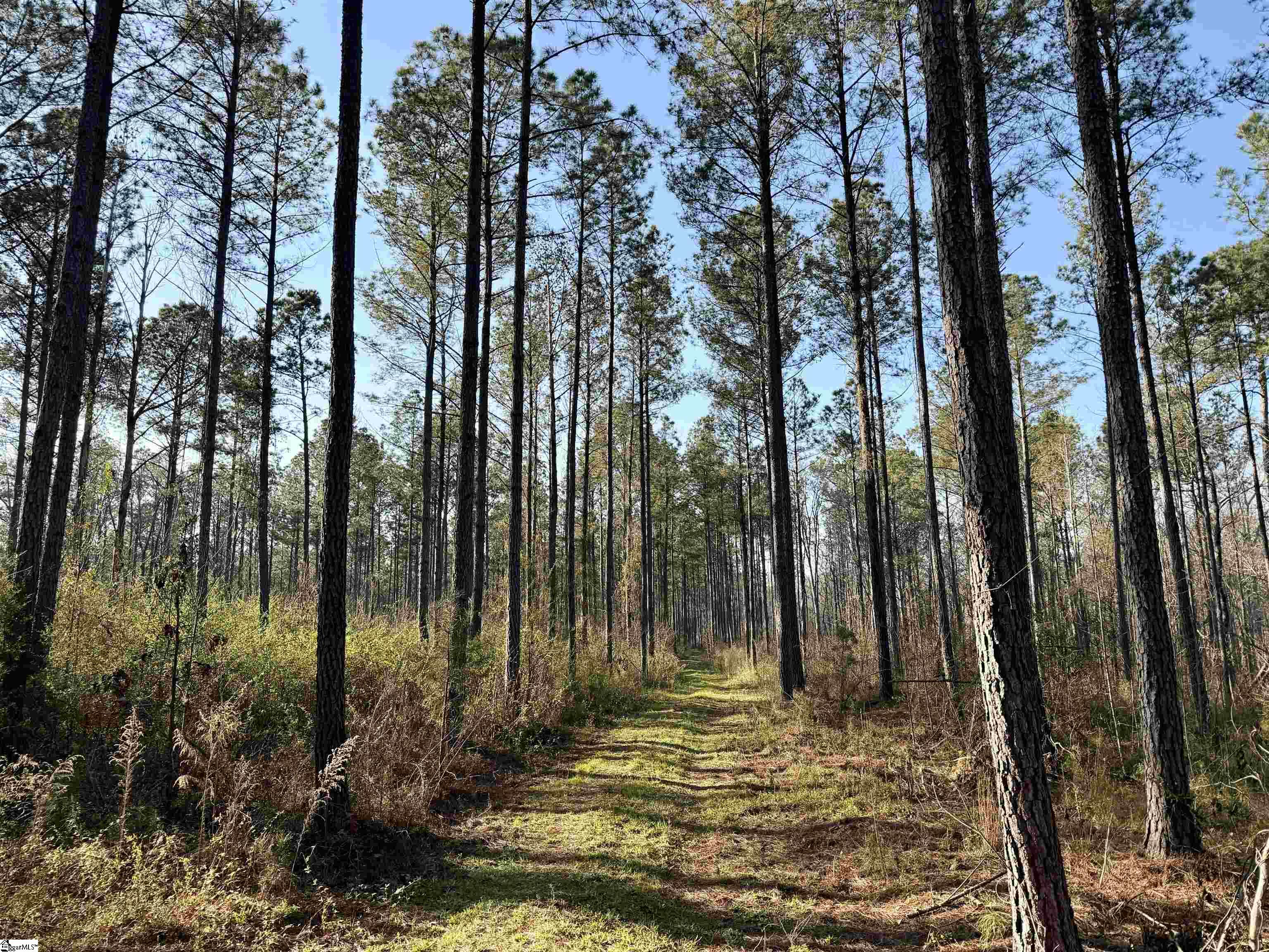 0 Long Cane Road Abbeville, SC 29620 - Photo 21 of 32
