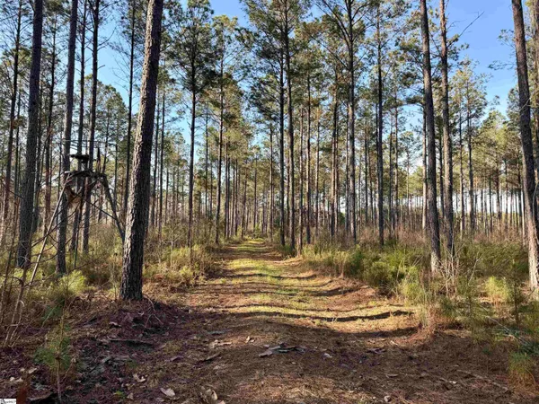 $510,000 | 0 Long Cane Road, Abbeville, SC 29620