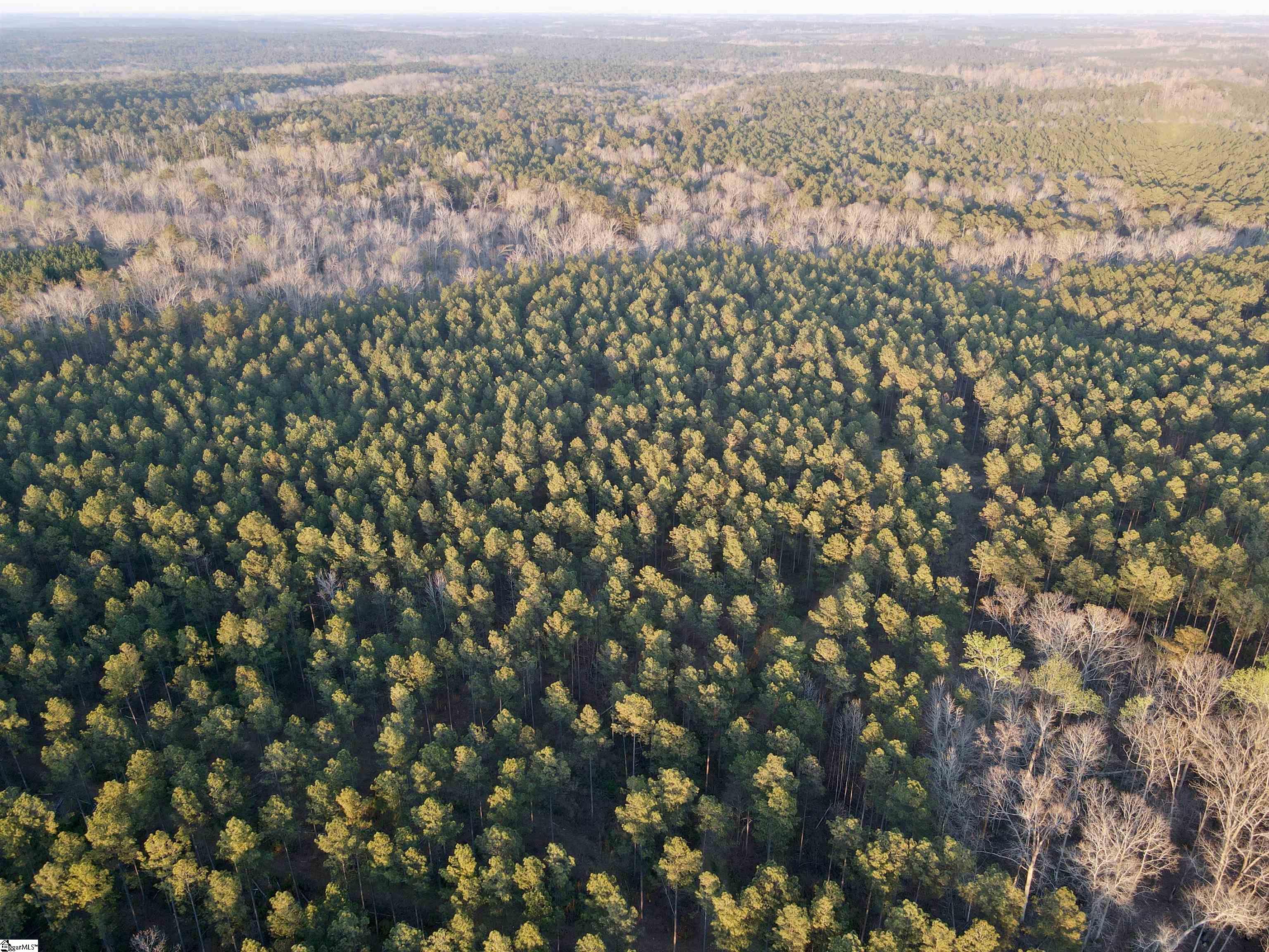 0 Long Cane Road Abbeville, SC 29620 - Photo 23 of 32