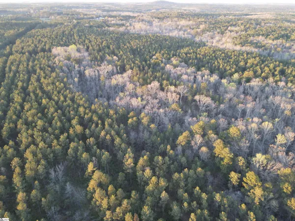 $510,000 | 0 Long Cane Road, Abbeville, SC 29620