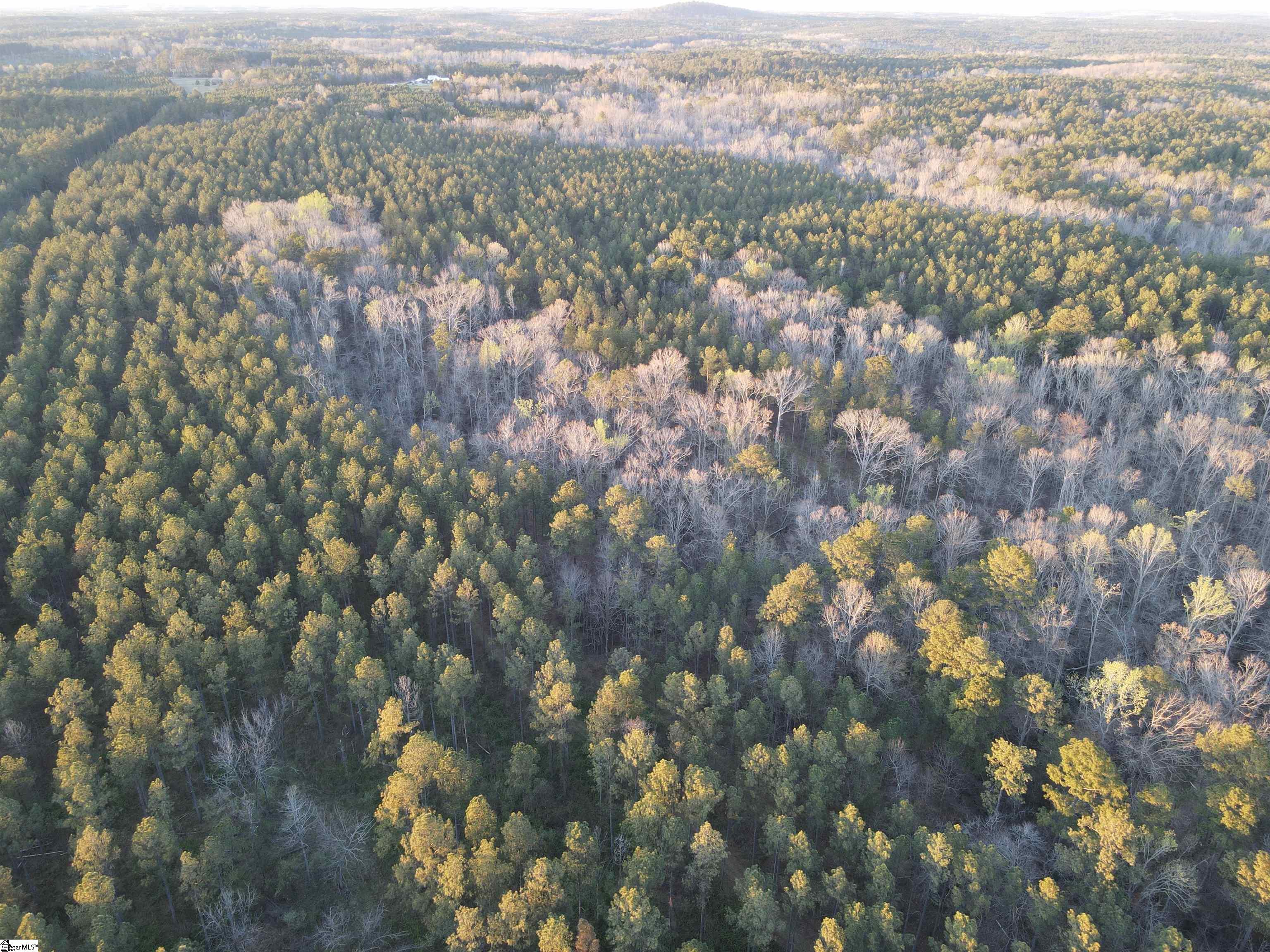 0 Long Cane Road Abbeville, SC 29620 - Photo 24 of 32