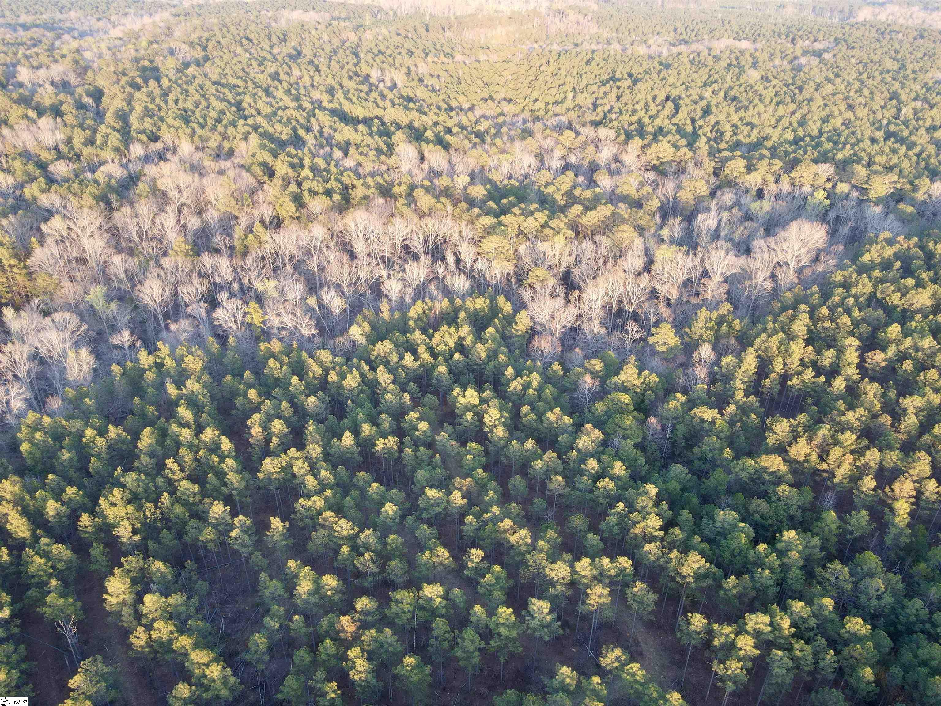 0 Long Cane Road Abbeville, SC 29620 - Photo 25 of 32