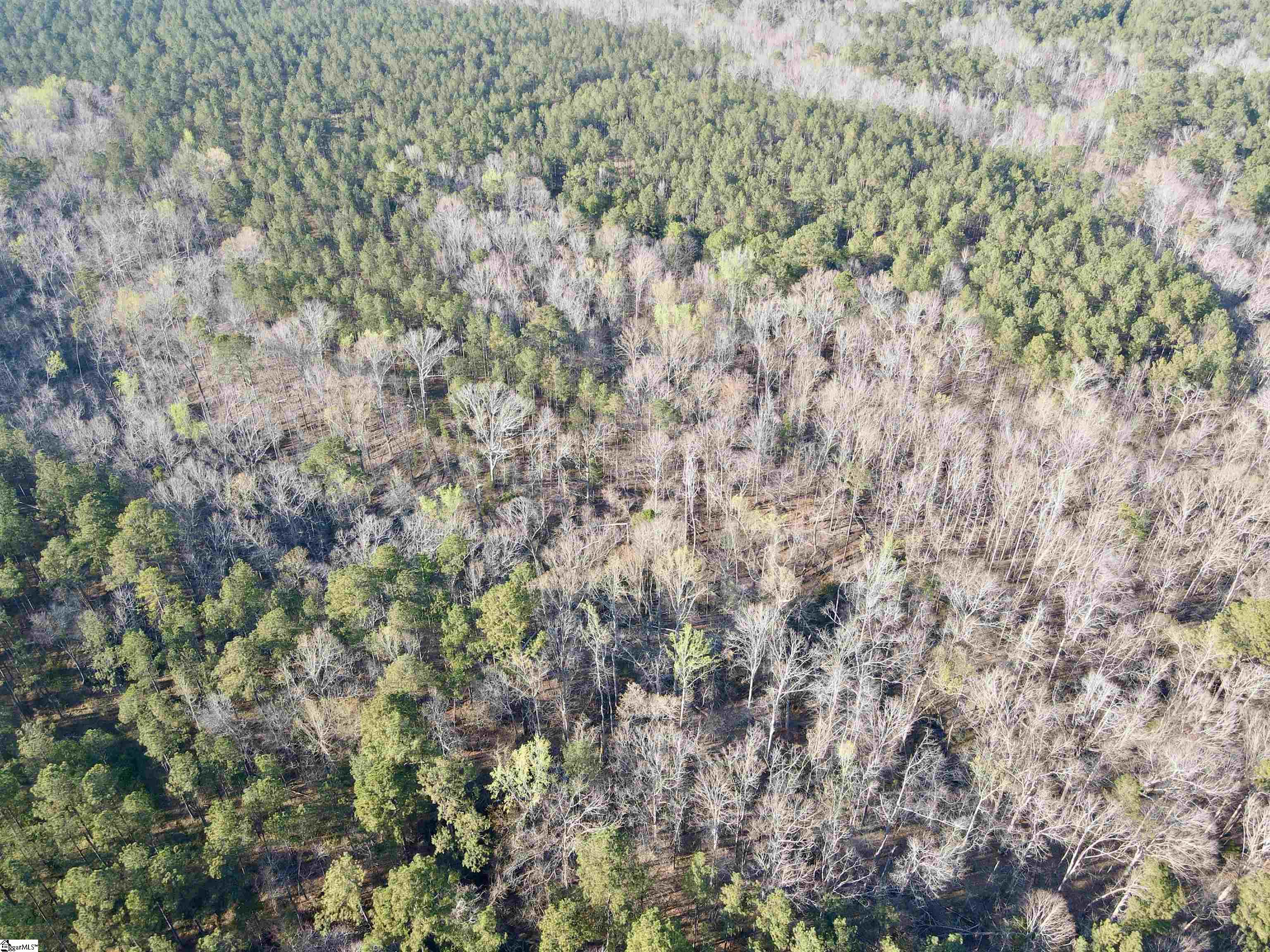 0 Long Cane Road Abbeville, SC 29620 - Photo 26 of 32