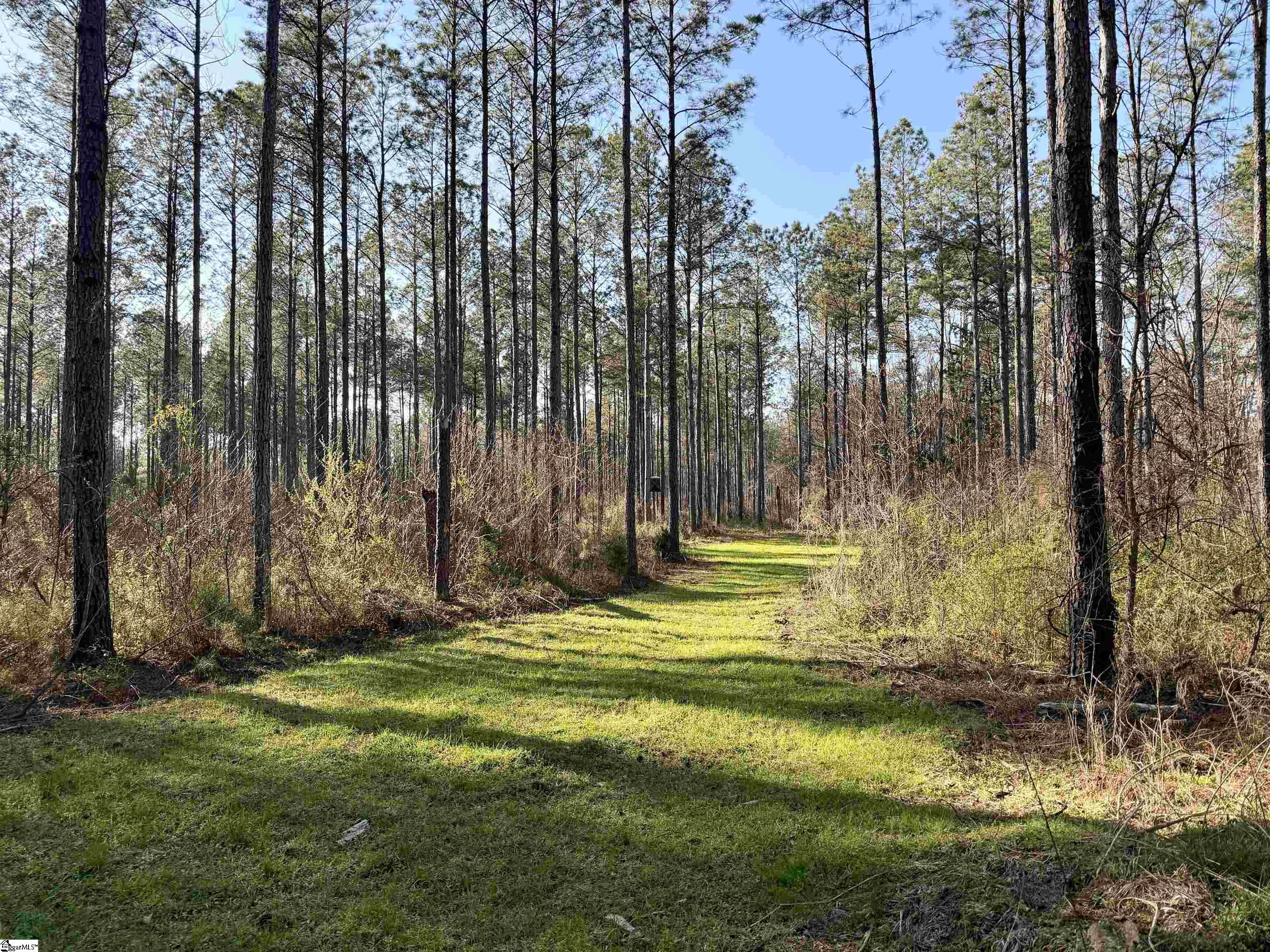 0 Long Cane Road Abbeville, SC 29620 - Photo 27 of 32