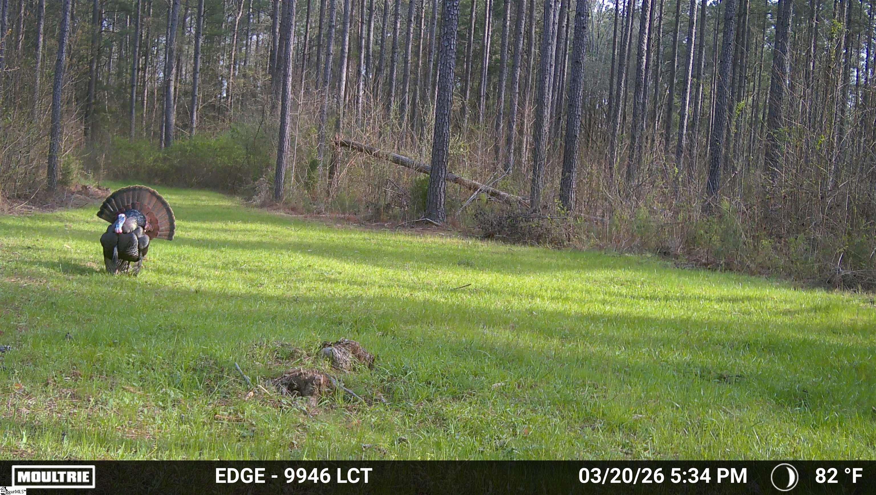 0 Long Cane Road Abbeville, SC 29620 - Photo 4 of 32