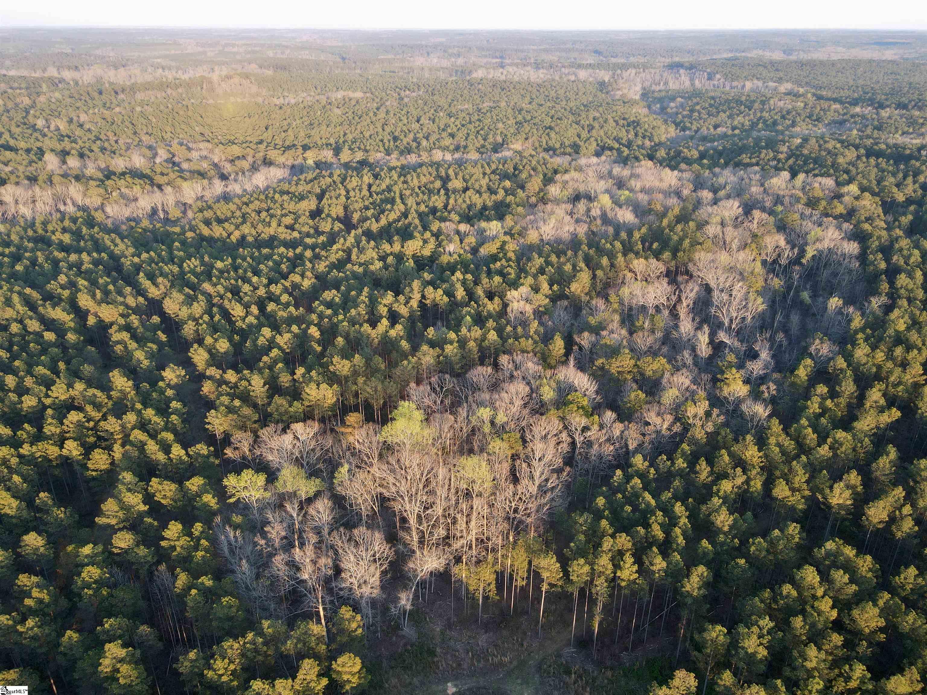 0 Long Cane Road Abbeville, SC 29620 - Photo 5 of 32