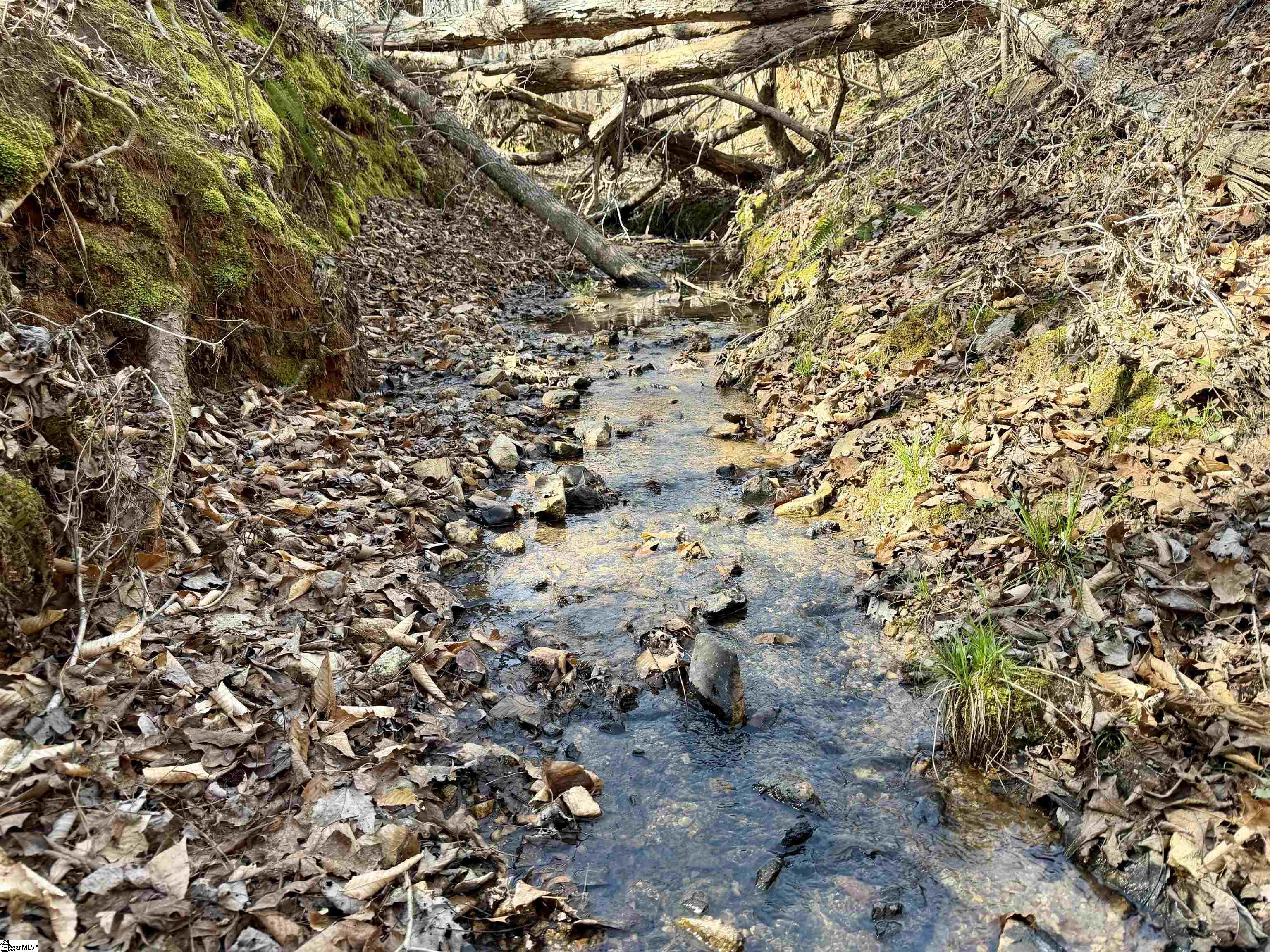 0 Long Cane Road Abbeville, SC 29620 - Photo 6 of 32