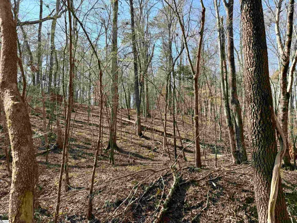 $510,000 | 0 Long Cane Road, Abbeville, SC 29620
