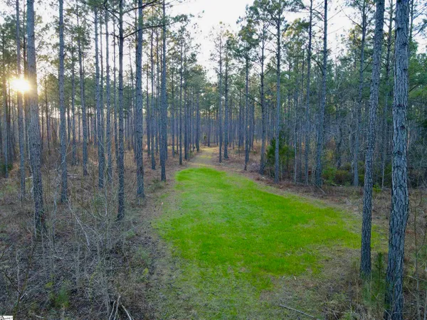 $510,000 | 0 Long Cane Road, Abbeville, SC 29620