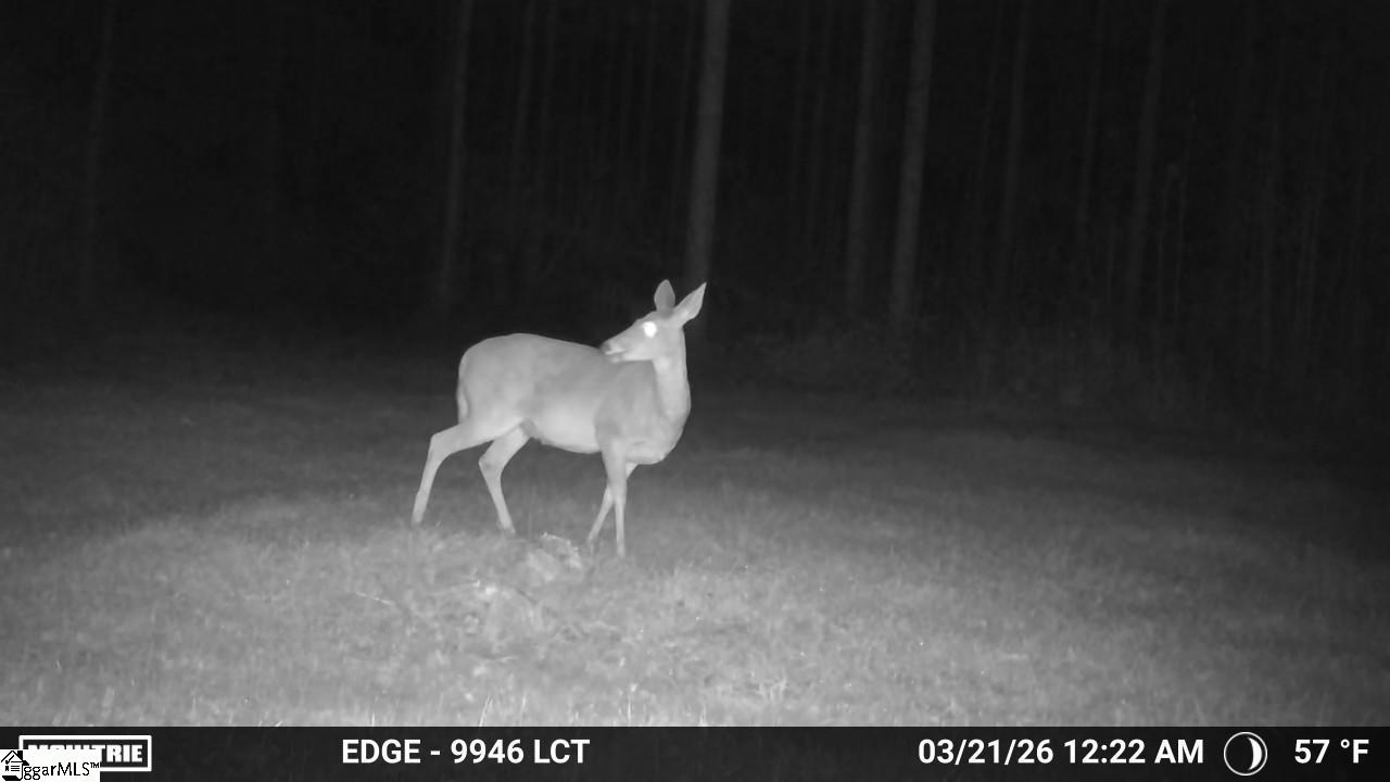 0 Long Cane Road Abbeville, SC 29620 - Photo 9 of 32